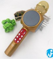 Wireless Microphone with Speaker WS-1816