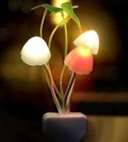 Mashroom Light